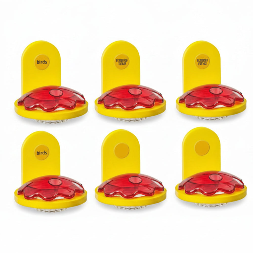 The "Aura-Six" Coordinated Window Perimeter Grid Hummingbird Feeders | 6-Unit Recycled Poly-Lumber Material | Birds Choice