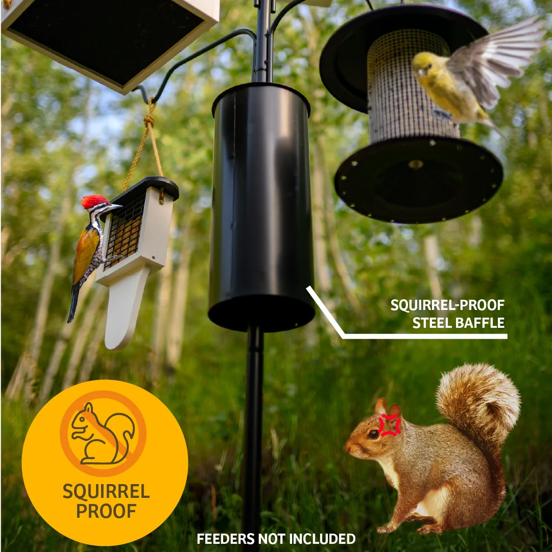 The 'Dinner Menu' Squirrel-Proof Feeder Pole Set
