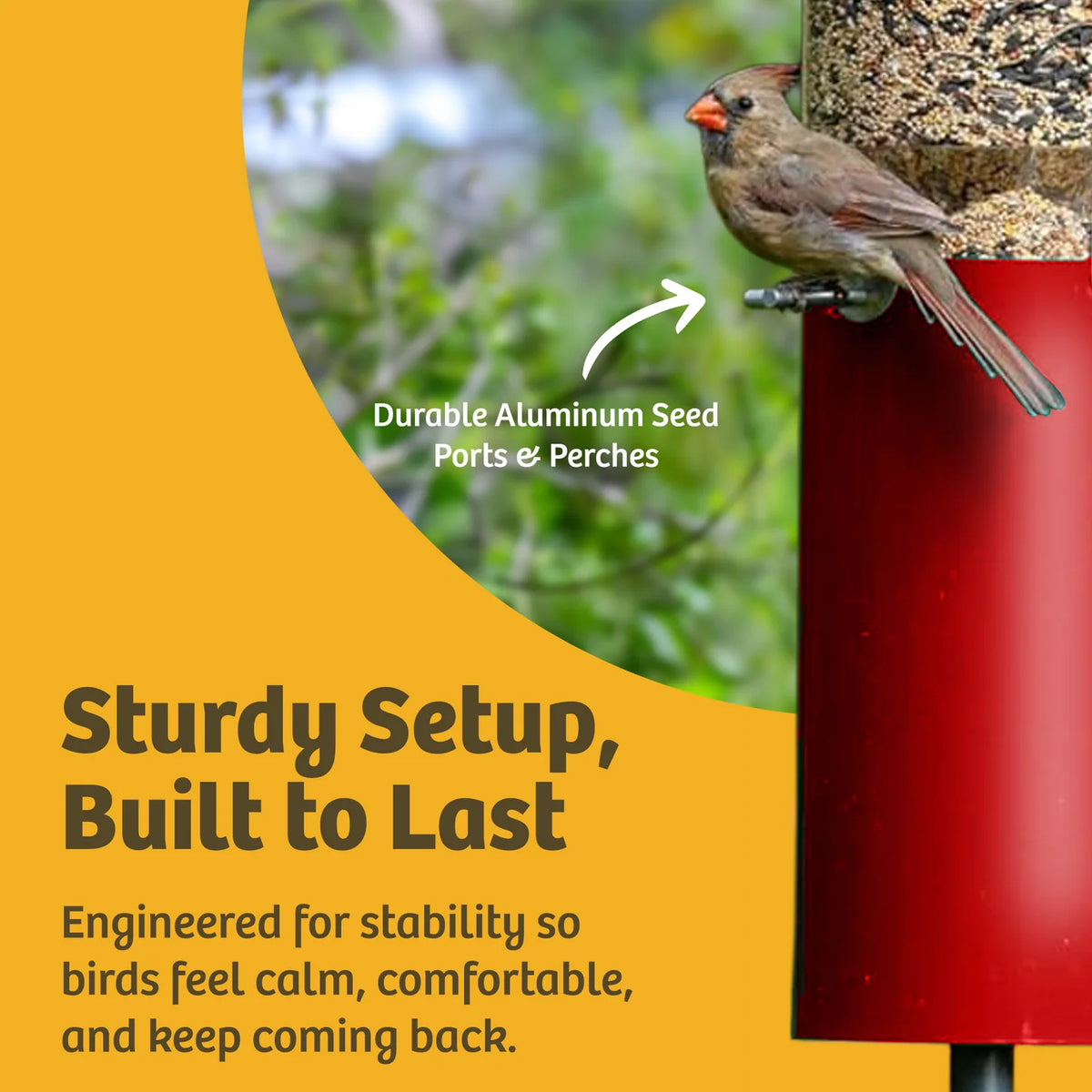 The 'Seed Sentinel' Squirrel-Proof Pole Bird Feeder