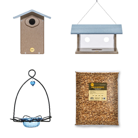 The 'Sapphire Statement' Premium Bluebird House & Feeder Kit