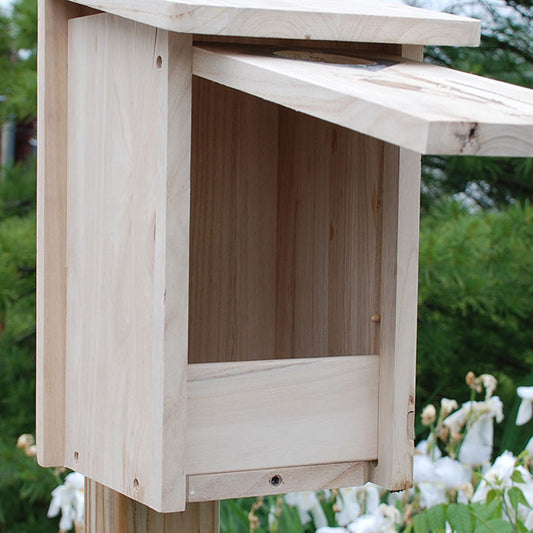 The "Hairy & Red-Bellied" Woodpecker House | Professional Nesting Box | BestNest