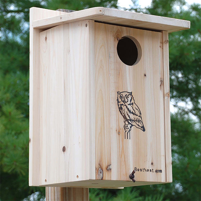 The 'Hootel' Screech Owl & Kestrel House | BestNest Premium Wooden Owl Nesting Box