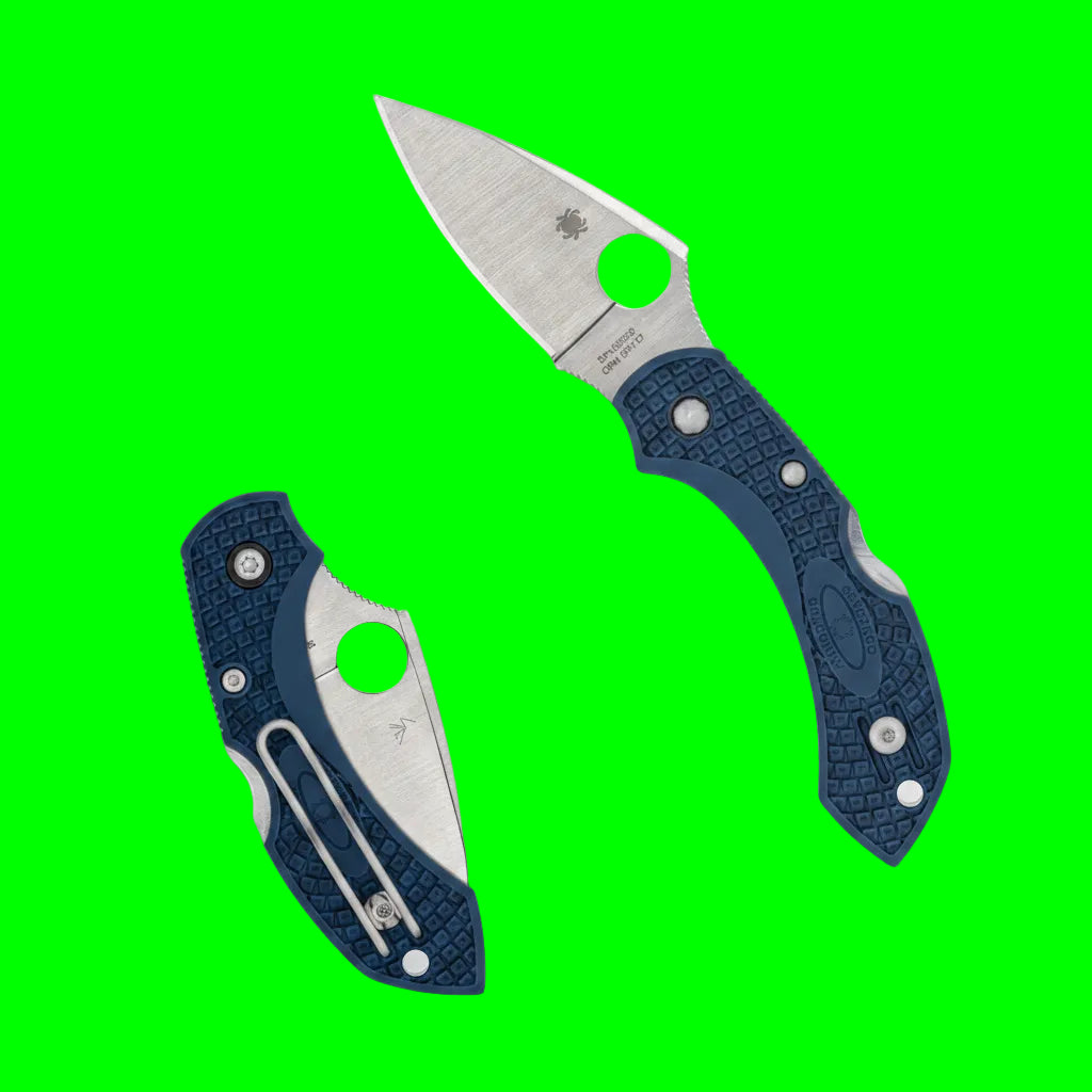 Spyderco Dragonfly™ 2 Folding Knife | C28PCBL2 | CPM SPY27 Steel | Cobalt Blue FRN