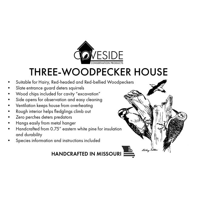 The 'Carpenter's Quarters' Woodpecker Feeding & Nesting Kit