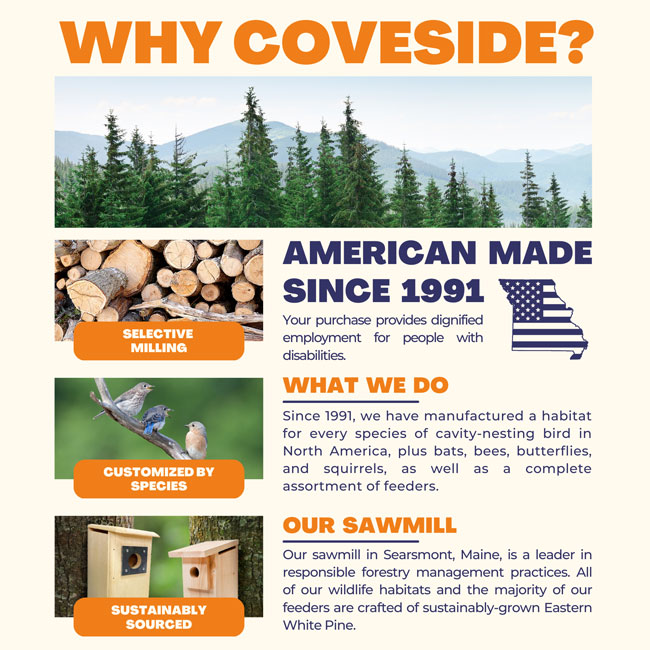 The 'Acorn Abode' Squirrel House | Coveside Conservation Pine Squirrel Nest Box