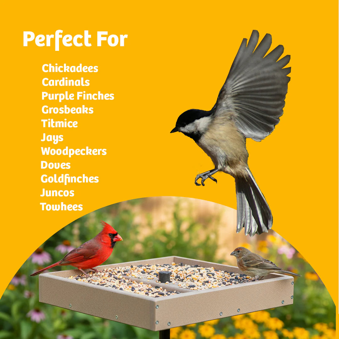 The ‘Open Table’ Large Platform Feeder