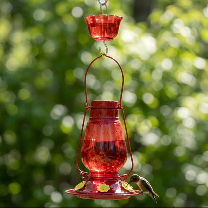 The 'Six-Bar' Ant-Proof Glass Hummingbird Feeder Kit