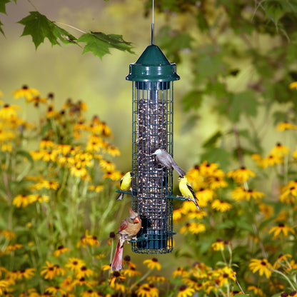 The 'Classic Guard' Squirrel-Proof Tube Feeder