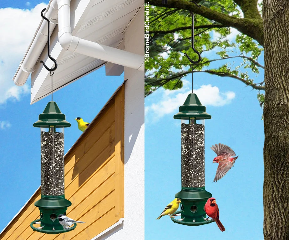 The 'Cardinal Vault' Squirrel-Proof Bird Feeder