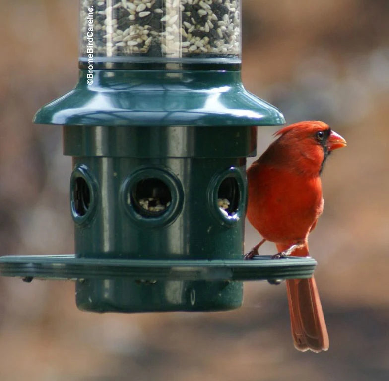 The 'Cardinal Vault' Squirrel-Proof Bird Feeder