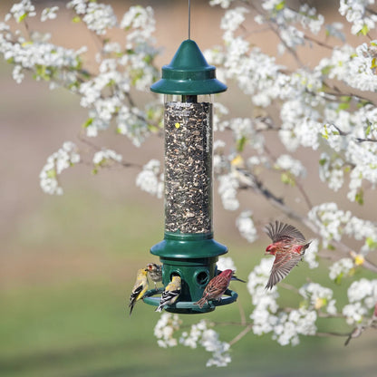 The 'Cardinal Vault' Squirrel-Proof Bird Feeder