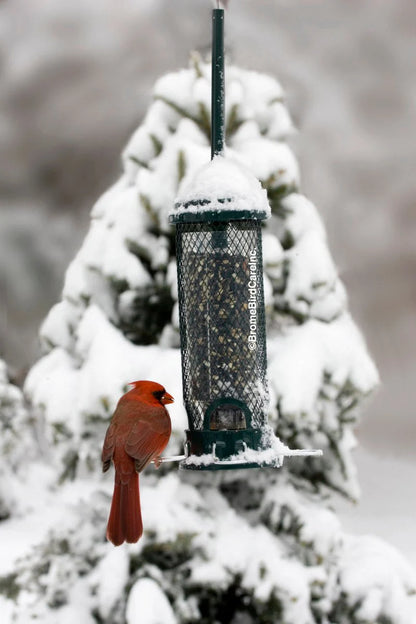 The 'Pocket Guard' Squirrel-Proof Tube Feeder