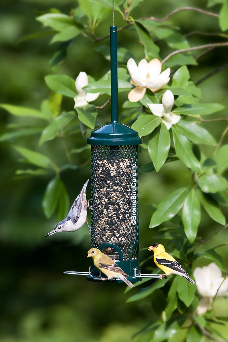 The "Full Restaurant" Squirrel-Buster Mini Bird Feeder | 4-Pack Quad-Horizon Suite | Brome