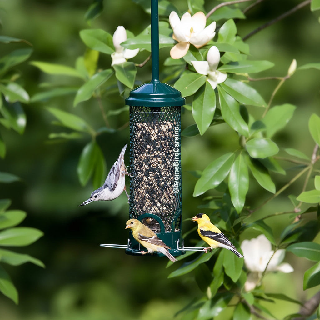 The 'Pocket Guard' Squirrel-Proof Tube Feeder