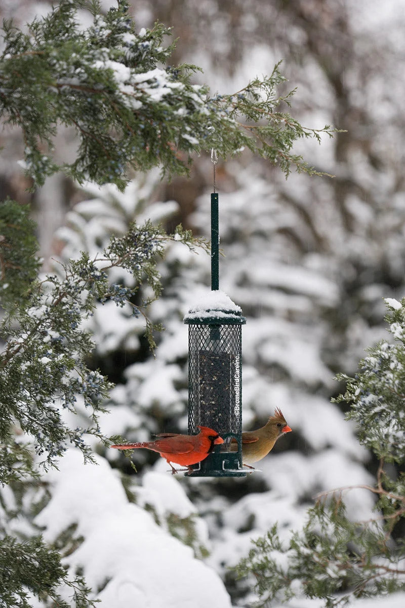 The 'Pocket Guard' Squirrel-Proof Tube Feeder