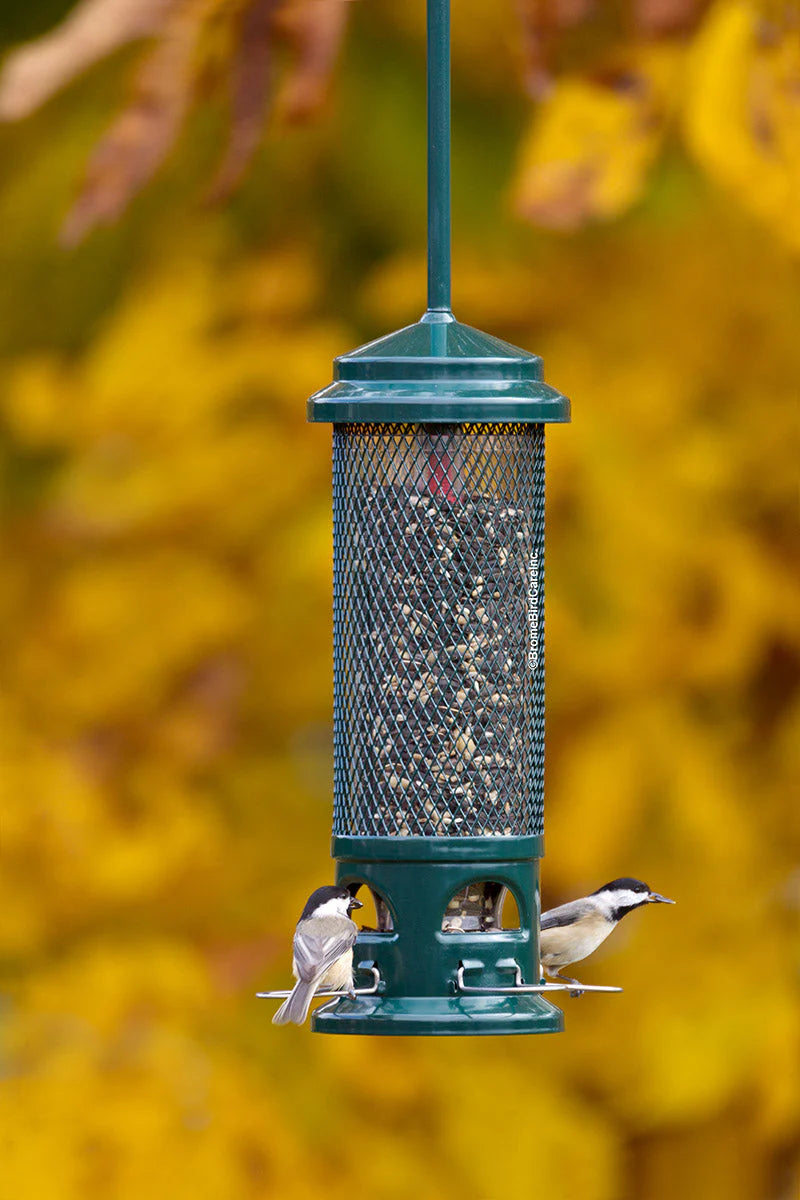 The "Dual-Horizon" Squirrel-Buster Legacy Bird Feeder | 2-Pack Coordinated Exclusion Set | Brome