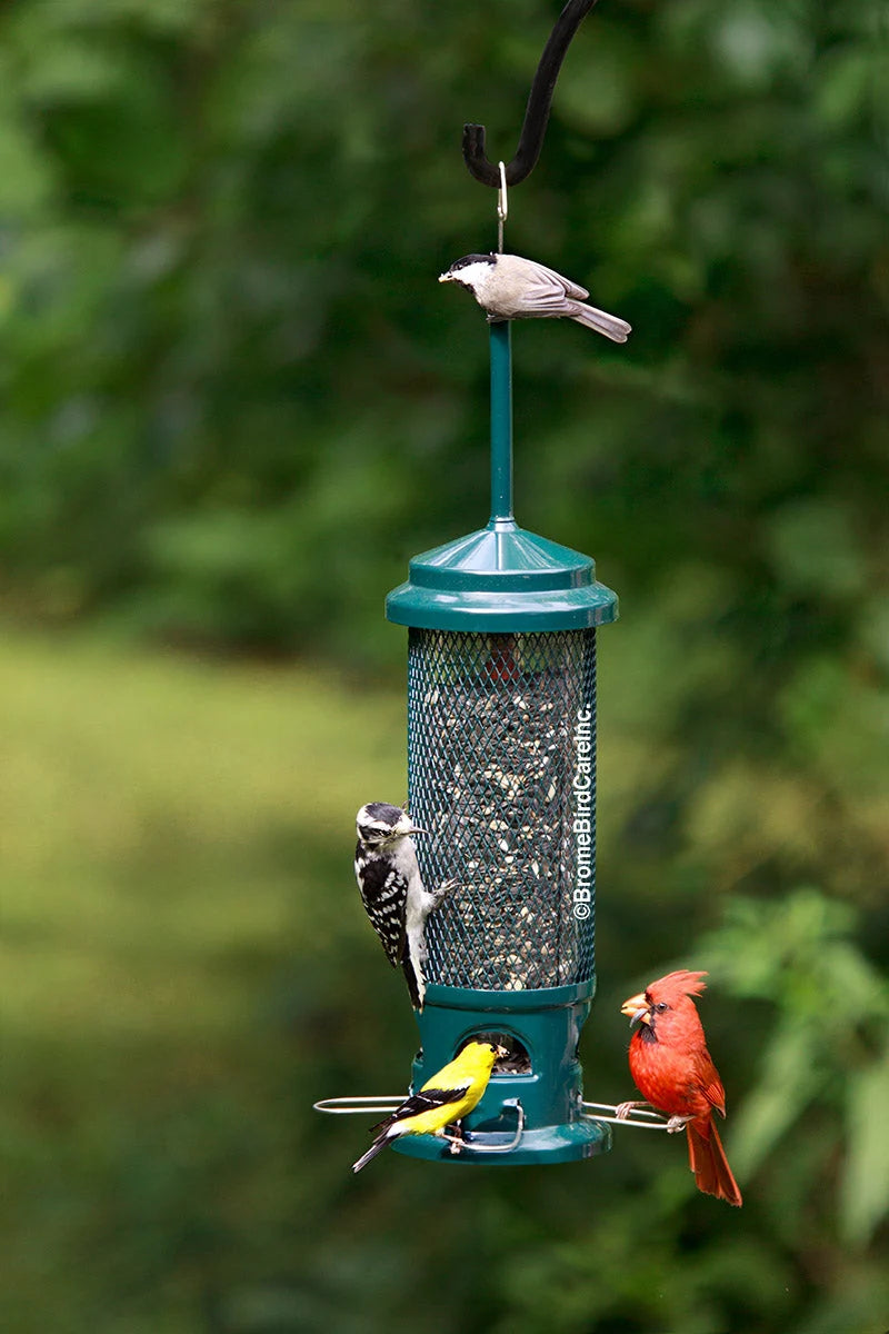 The 'Legacy Lock' Squirrel-Proof Tube Feeder