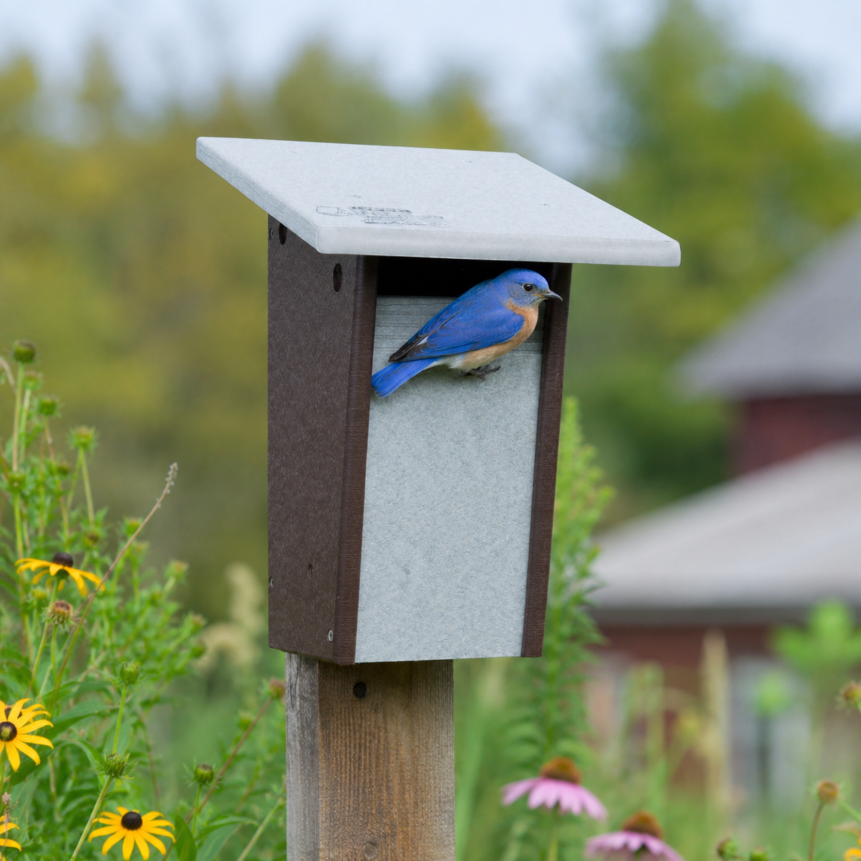 The ‘Bluebird Bunker’ Sparrow-Resistant Nesting Box