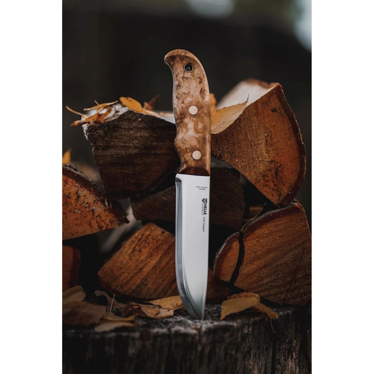 Helle Didi Galgalu 14C28N Bushcraft Knife | Curly Birch & Full Tang