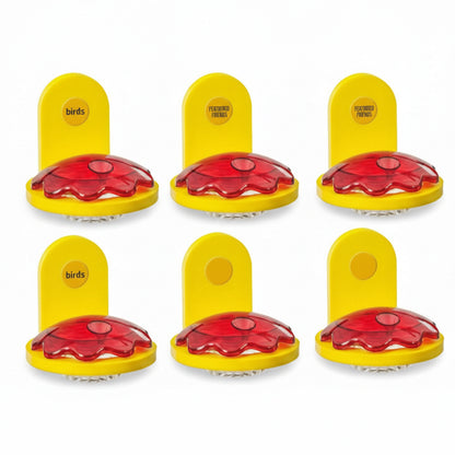 The "Aura-Six" Coordinated Window Perimeter Grid Hummingbird Feeders | 6-Unit Recycled Poly-Lumber Material | Birds Choice