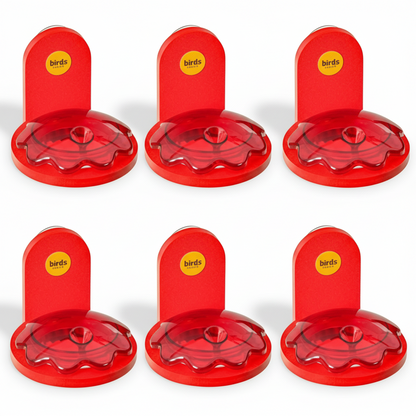 The "Aura-Six" Coordinated Window Perimeter Grid Hummingbird Feeders | 6-Unit Recycled Poly-Lumber Material | Birds Choice
