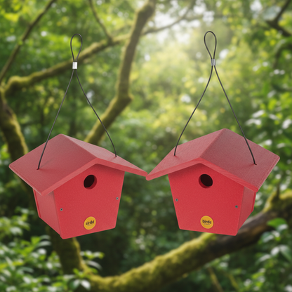 The "Twin-Home" Traditional Wren House | 2-Pack Hanging Chickadee Nesting Box | Birds Choice