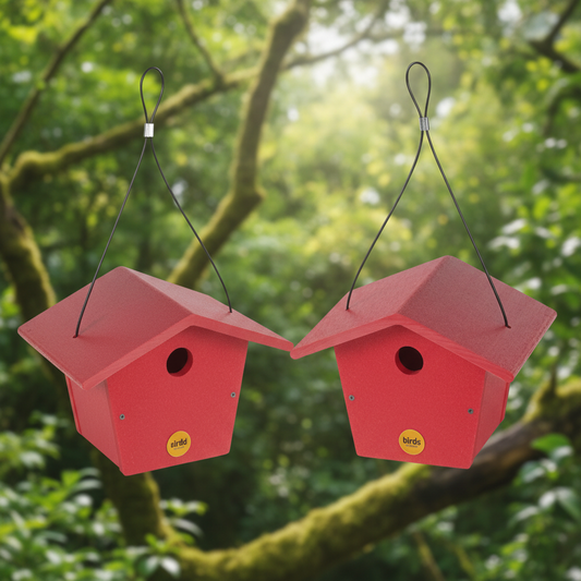 The "Twin-Home" Traditional Wren House | 2-Pack Hanging Chickadee Nesting Box | Birds Choice