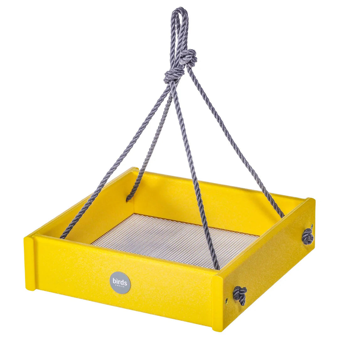 The 'Complete Wrendition' Wren House & Feeder Kit