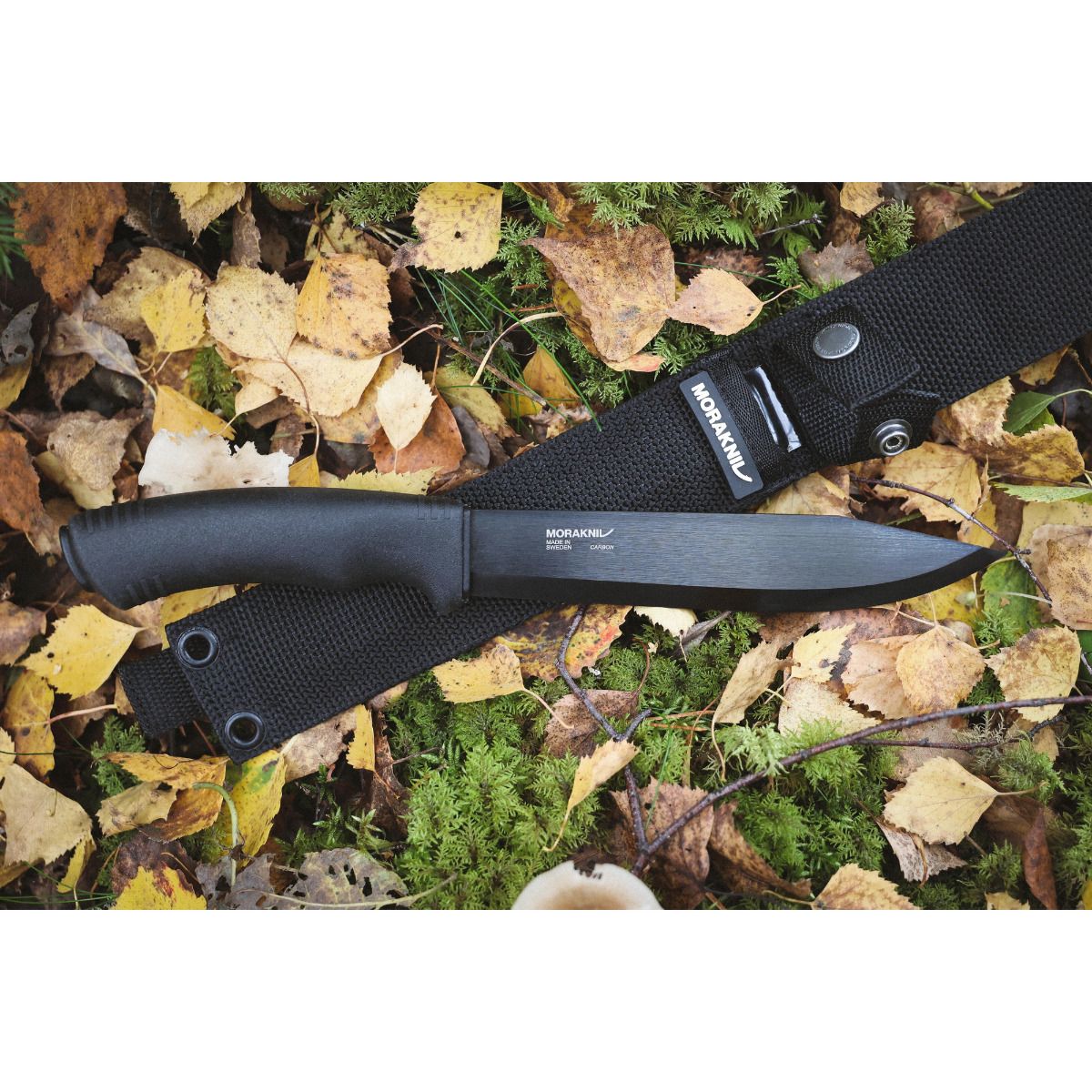 Morakniv Pathfinder BlackBlade (C) Bushcraft Knife
