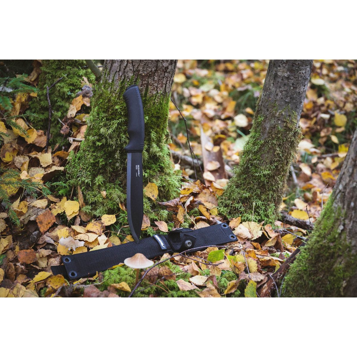 Morakniv Pathfinder BlackBlade (C) Bushcraft Knife