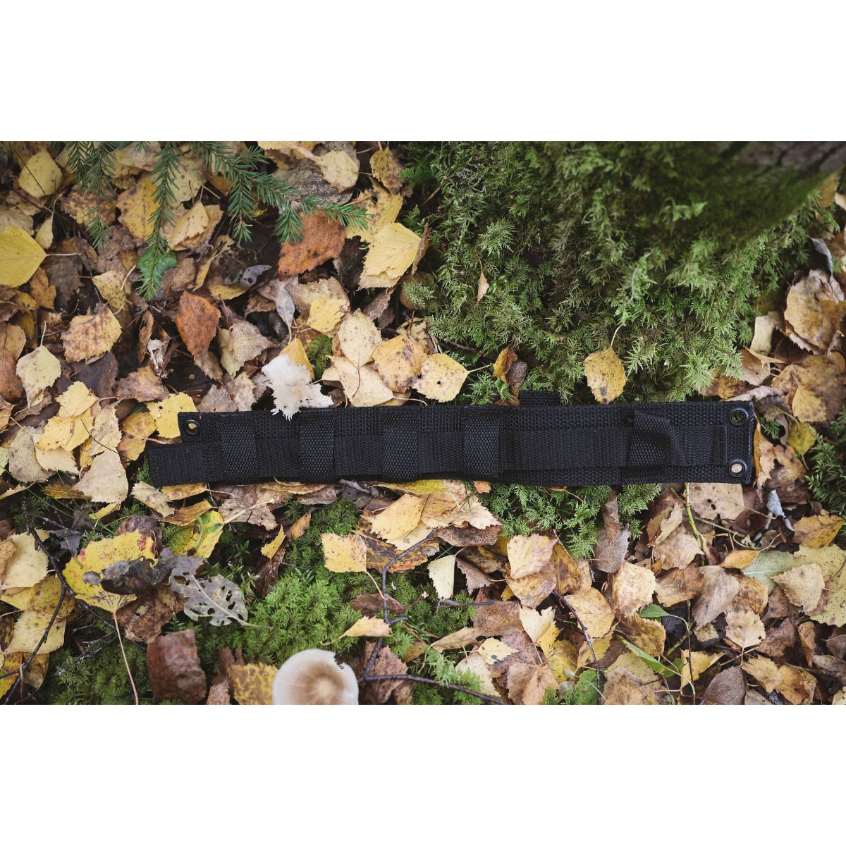 Morakniv Pathfinder BlackBlade (C) Bushcraft Knife