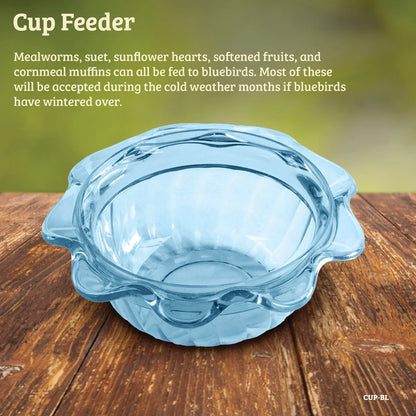 The 'Sapphire Statement' Premium Bluebird House & Feeder Kit