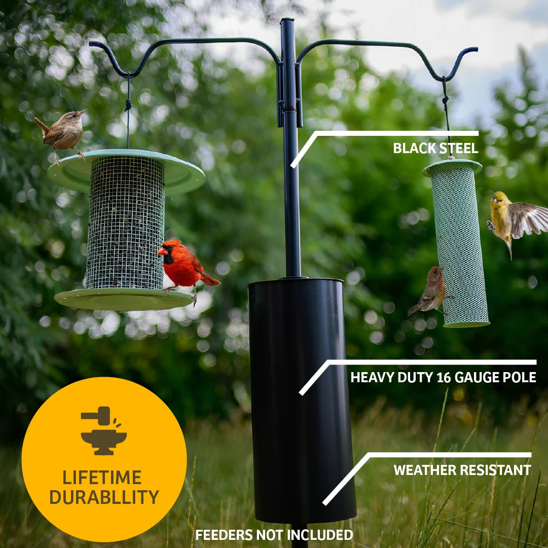 The 'Lunch Menu' Squirrel-Proof Feeder Pole Set