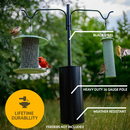 The 'Lunch Menu' Squirrel-Proof Feeder Pole Set