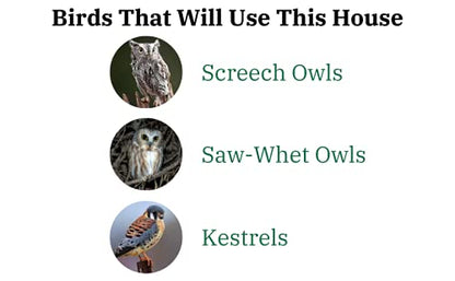 The "Skyward Guardian" Owl House & Kestrel Box | Poly Nesting Box | JCS Wildlife
