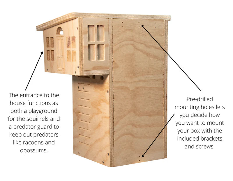 The "Apex Arbor" Sentry | Baffle-Protected Squirrel Nesting Box | JCS Wildlife
