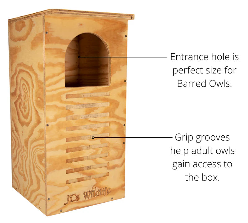 The "Woodland Sentinel" Barred Owl House | Large Owl Nesting Box | JCS Wildlife