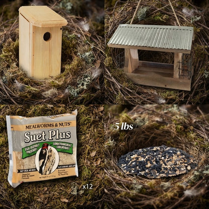 The 'SWAT Team' Cavity Nester House & Feeder Kit