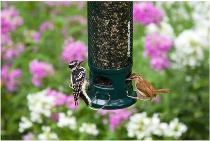 The 'Legacy Lock' Squirrel-Proof Tube Feeder