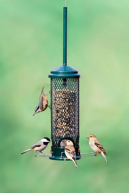The 'Pocket Guard' Squirrel-Proof Tube Feeder
