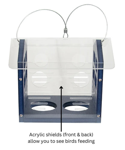 The 'Cerulean Sanctuary' Bundle | JCS Wildlife Ultimate Bluebird Habitat