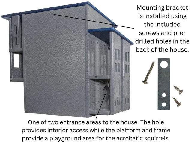 The "Poly-Summit" Nutty Mansion | Multi-Tiered Dual-Chamber Squirrel Habitat | JCS Wildlife