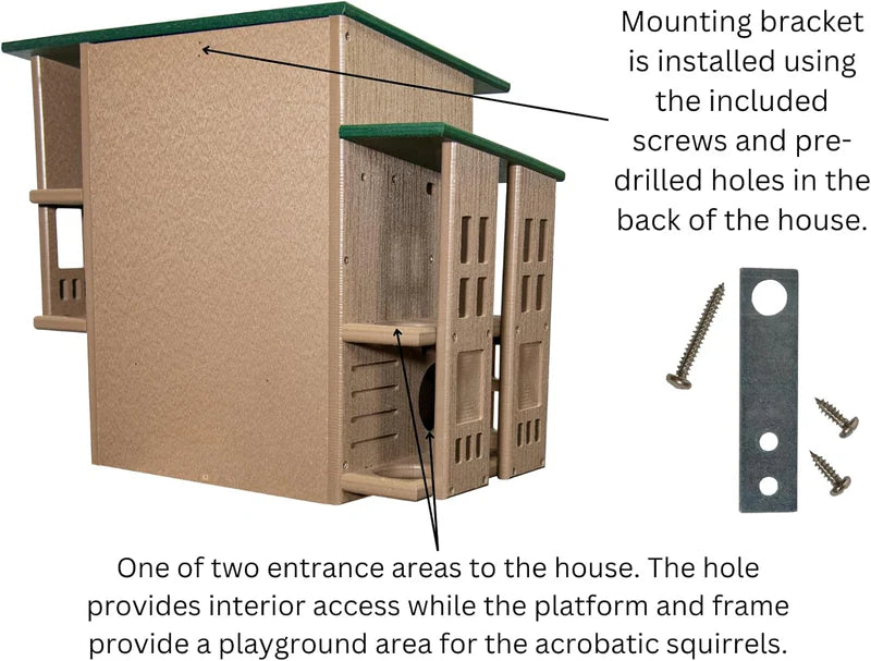 The "Poly-Summit" Nutty Mansion | Multi-Tiered Dual-Chamber Squirrel Habitat | JCS Wildlife