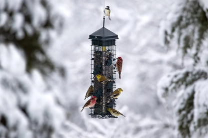 The 'Leaf it Be!' Squirrel-Proof Tube Feeder