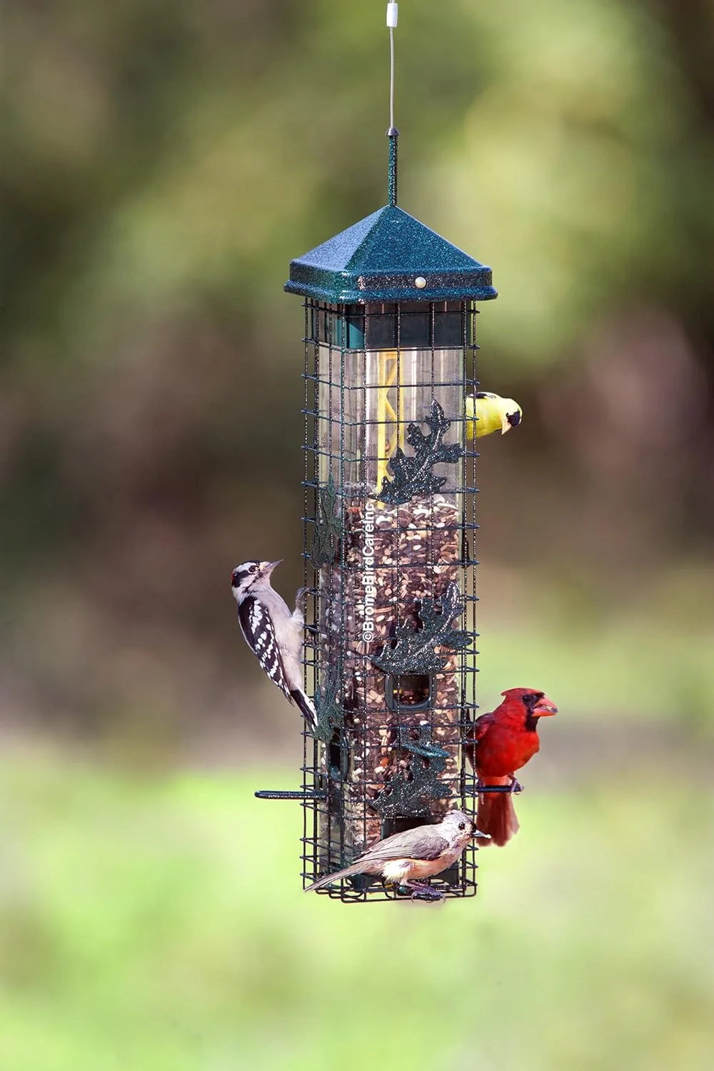 The 'Leaf it Be!' Squirrel-Proof Tube Feeder