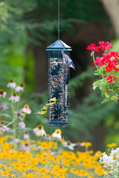 The 'Leaf it Be!' Squirrel-Proof Tube Feeder