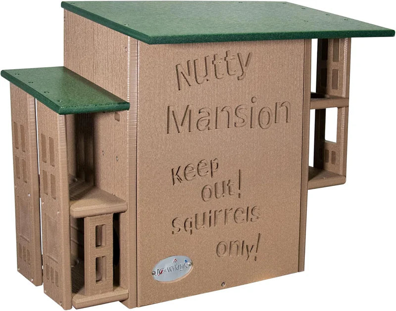 The "Poly-Summit" Nutty Mansion | Multi-Tiered Dual-Chamber Squirrel Habitat | JCS Wildlife
