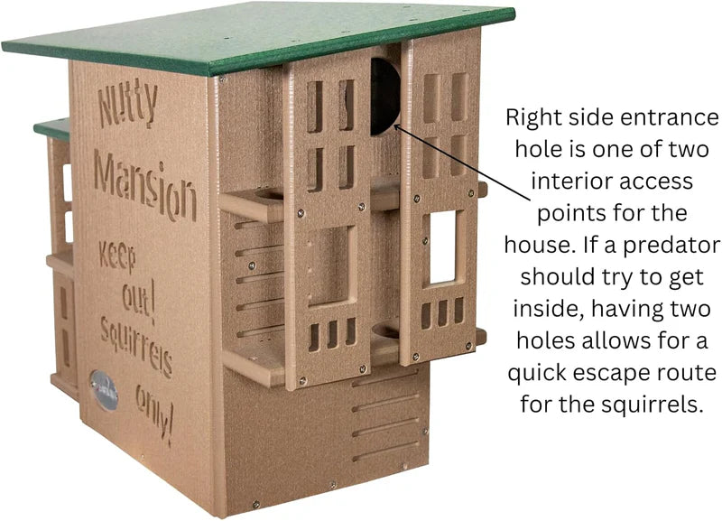 The "Poly-Summit" Nutty Mansion | Multi-Tiered Dual-Chamber Squirrel Habitat | JCS Wildlife