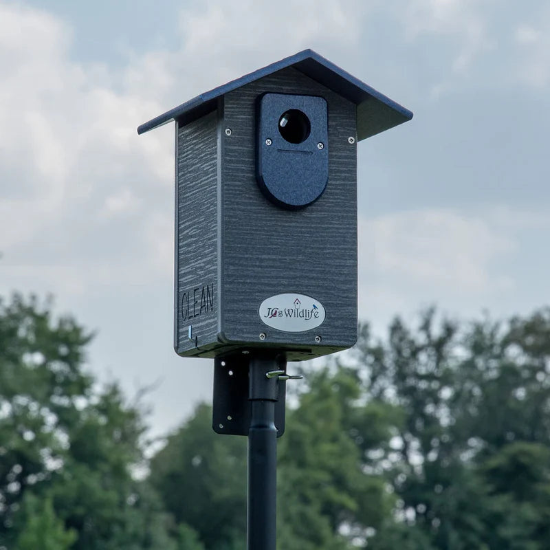 The 'Cerulean Sanctuary' Bundle | JCS Wildlife Ultimate Bluebird Habitat