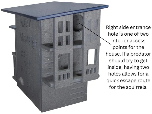 The "Poly-Summit" Nutty Mansion | Multi-Tiered Dual-Chamber Squirrel Habitat | JCS Wildlife